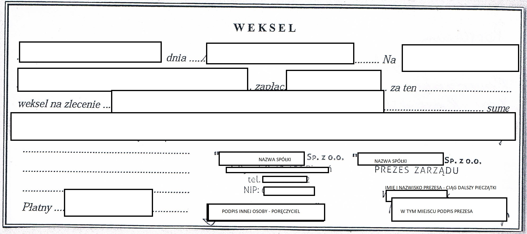 weksel.jpg